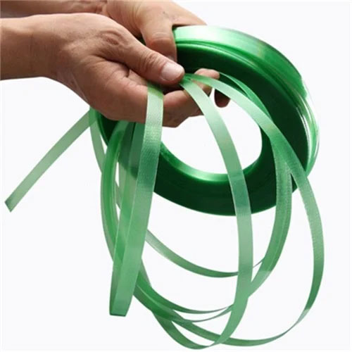 Tampa pet strap